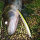 Nasty Bait - Playmaker - Weed - Sparkling Ice / 13 cm / 13,5g / 0,3-0,6 m floating